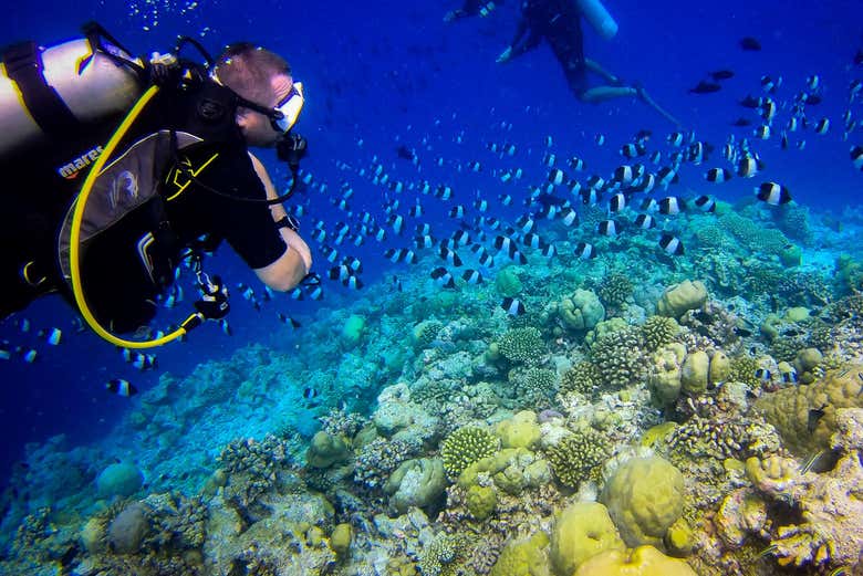 Scuba Diving Introduction in Rasdhoo Book at
