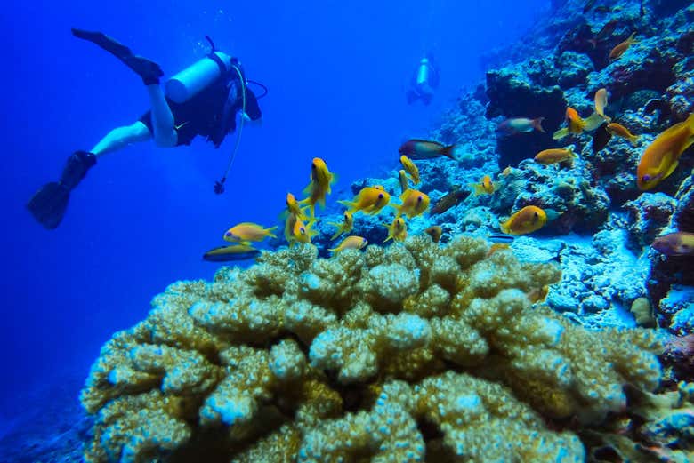 Scuba Diving Introduction in Rasdhoo Book at