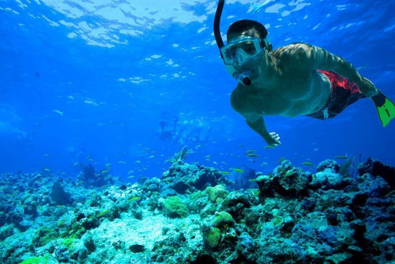 Snorkeling sull'isola di Comino