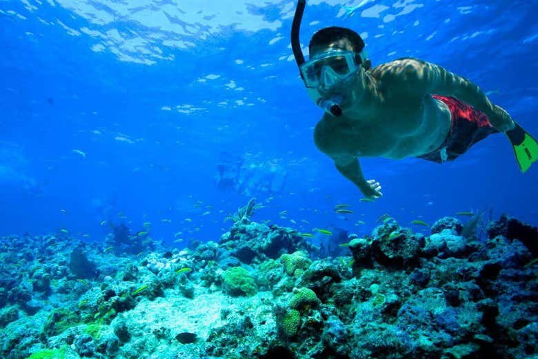 Practicando snorkel en Comino