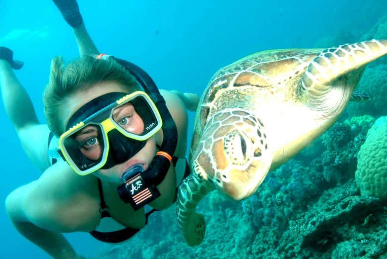 Make friends with the locals