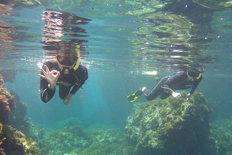 Snorkel nas praias de Malta