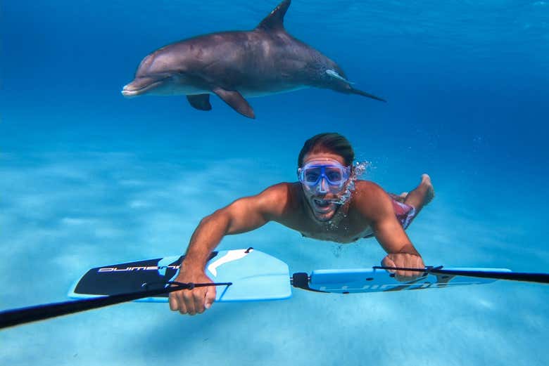 Con un delfino durante il subwing en Malta