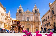 Mdina Cathedral & Museum Ticket