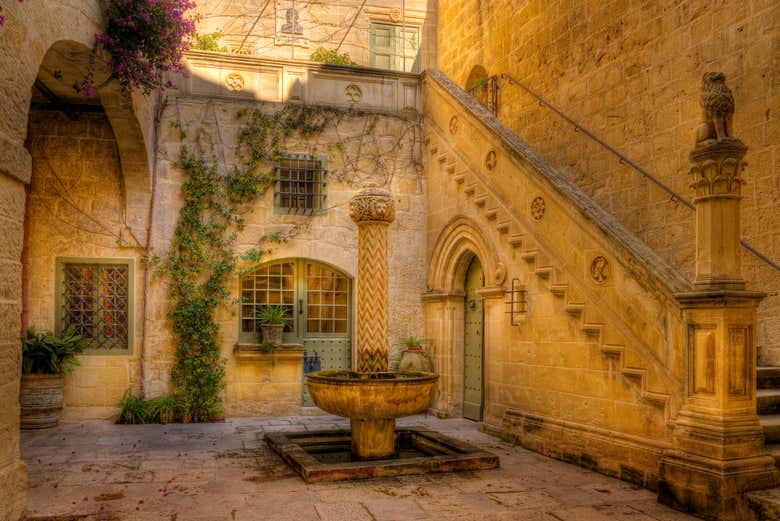 Visitando il cortile