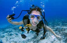 Immersione per principianti a Malta