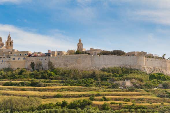 Excursão a Mdina e Penhascos de Dingli