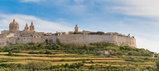 Escursione a Mdina e alle Dingli Cliffs