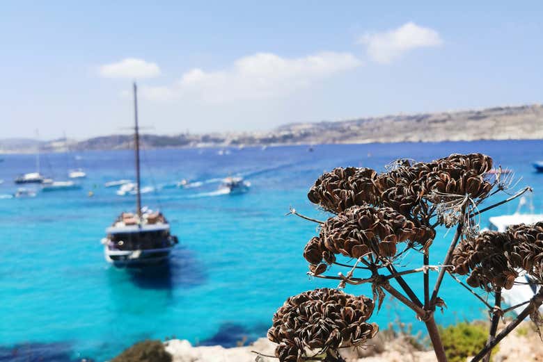 Durante la traversata sul Mediterraneo