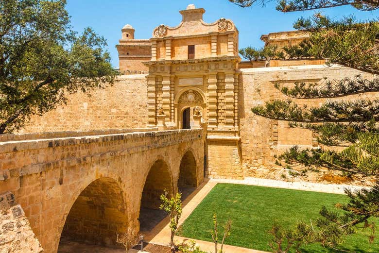 Mdina Port