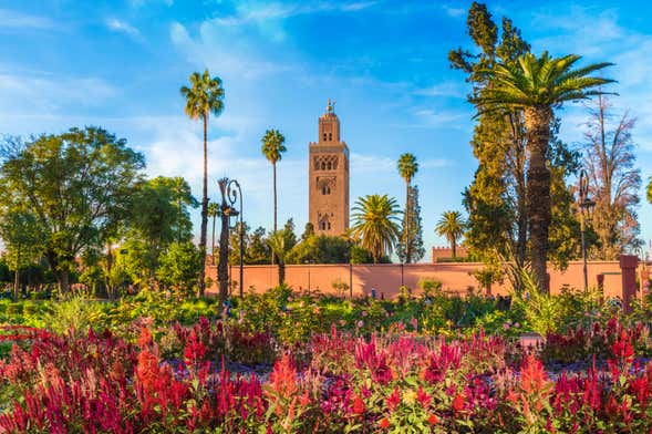 Excursão a Marrakech