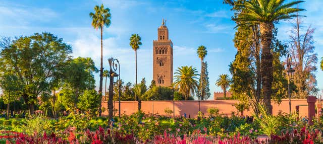 Excursion à Marrakech