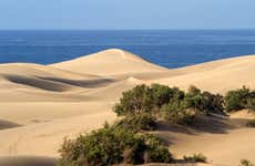 Excursão a Tiznit + Desert Safari