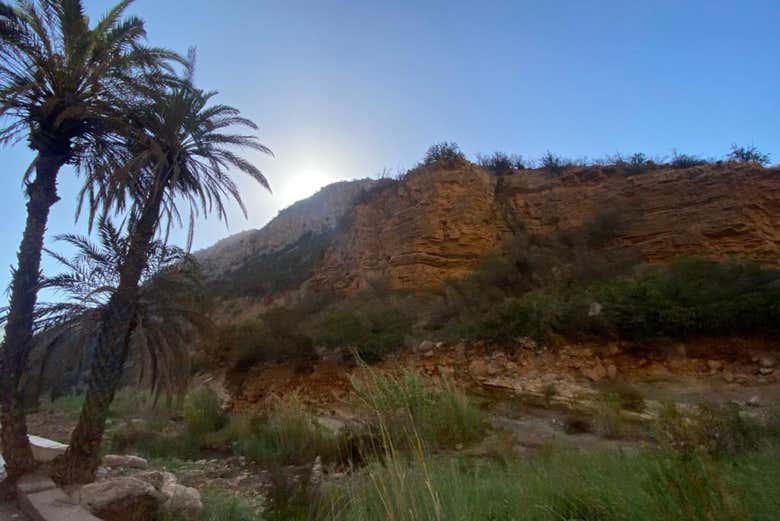 Montagnes et palmiers dans la vallée de Tizgui