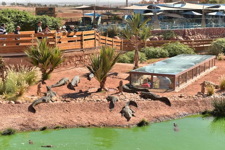 Crocoparc, parque em Agadir