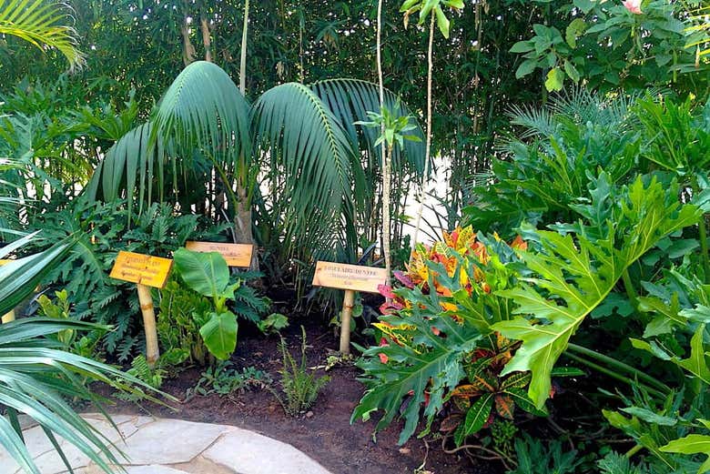Jardin botanique du Crocoparc