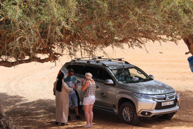 Disfrutando del Desert Safari