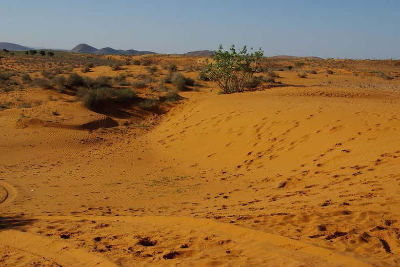 The desert of Agadir