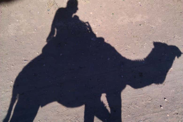 Potrete fare un giro in cammello