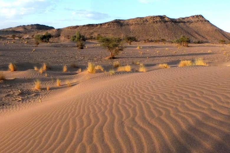 Viaggeremo in uno splendido paesaggio desertico