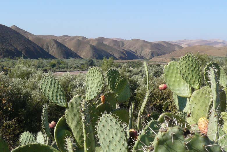L'environnement naturel de Paradise Valley