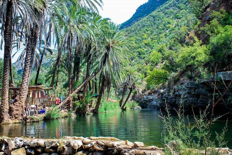 Natura di Paradise Valley