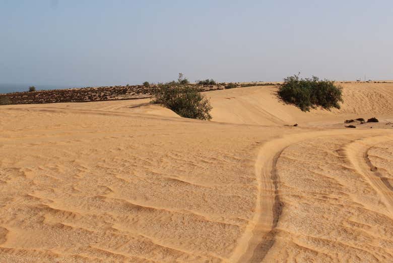 Paysage désertique d'Agadir