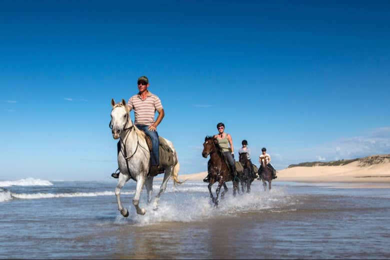 Balade à cheval au bord de la mer