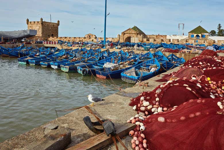 Dans le port d'Essaouria