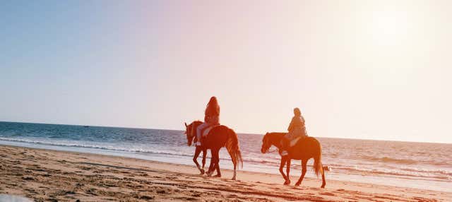 Beach Horse Ride