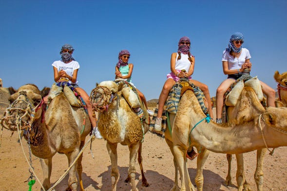 Balade en chameau dans Agadir