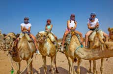 Passeio de camelo por Agadir