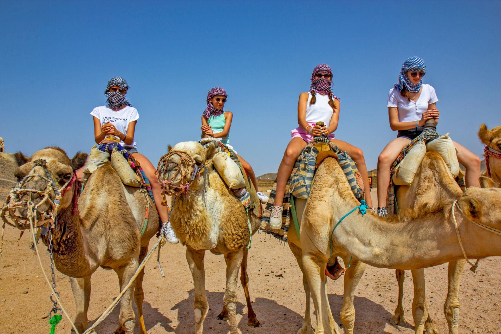 Giro in cammello ad Agadir
