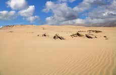 Desert Buggy Tour