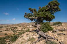 Tour en kickbike eléctrico por Agadir