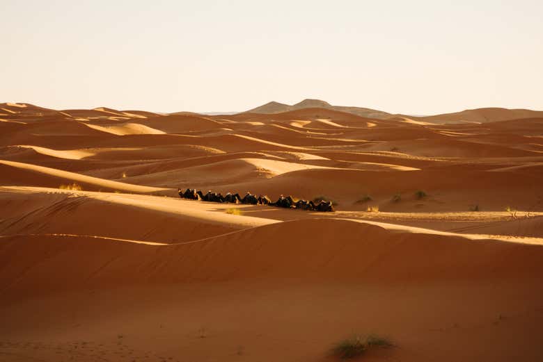 Dune del deserto di Merzouga