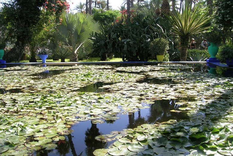 Jardín Majorelle