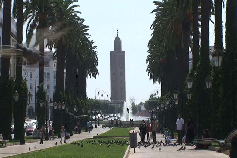 Casablanca