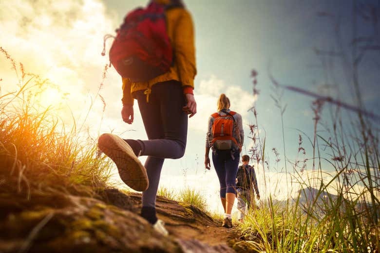 Pendant le trek