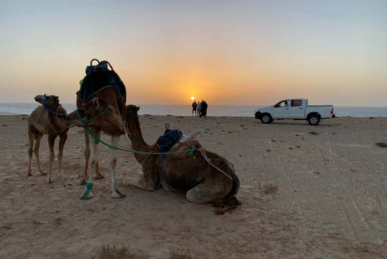 Coucher de soleil sur la côte de Dakhla