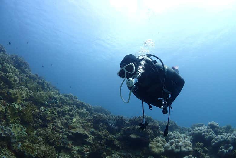 Plongeur explorant les fonds marins de Dakhla