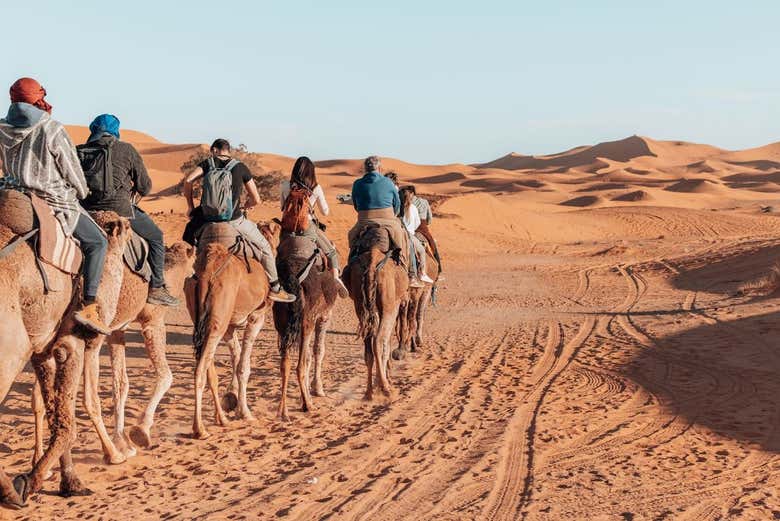 Enjoy a camel ride