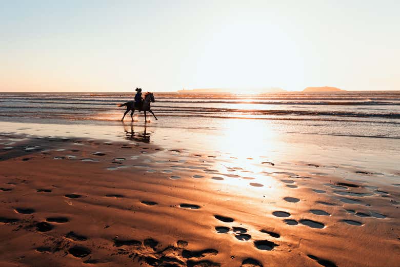 Galopez sur la superbe plage d'Essaouira
