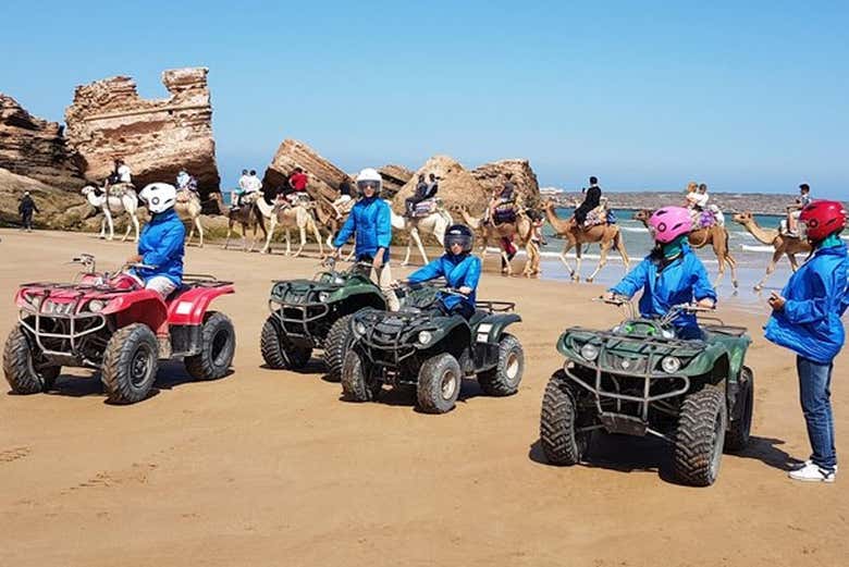 Grupo de camellos detrás de los quad
