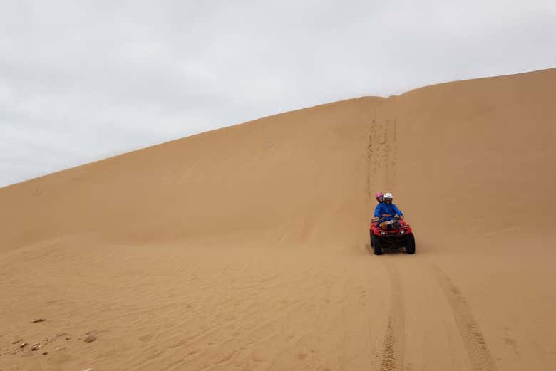 Surcando la arena