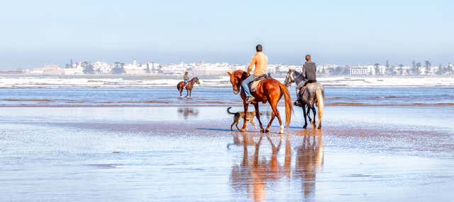 Passeggiata a cavallo a Essaouira