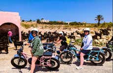Tour en moto eléctrica por Esauira