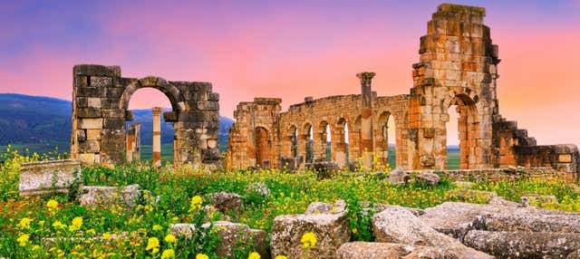 Excursiones de un día