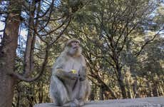 Excursion privée à Séfrou, Bhalil, Ifrane et Azrou