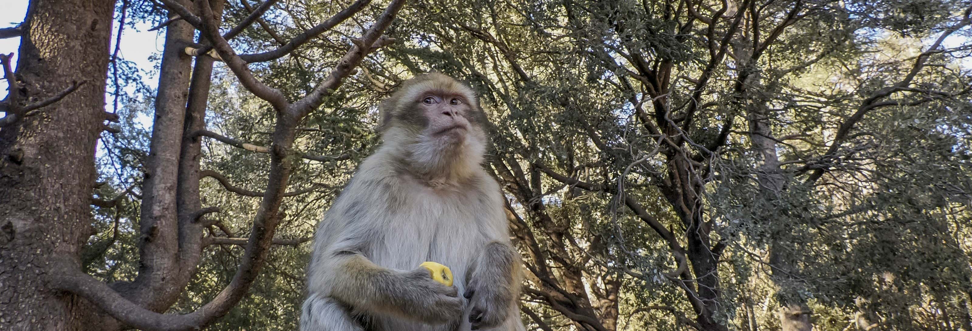 Excursiones de un día en Fez
